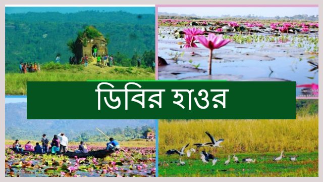 Exciting Dibir Hawor | শাপলা বিল | জৈন্তার  লাল সমুদ্র