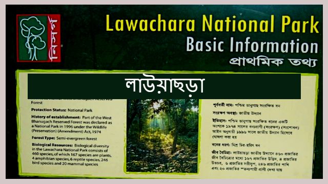 Lawachara | লাউয়াছড়া | বাংলাদেশের 2য় সুন্দরবন