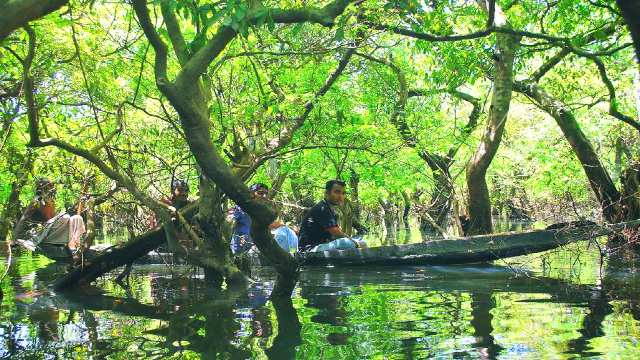 Ratargul-forest-journey-by-boat