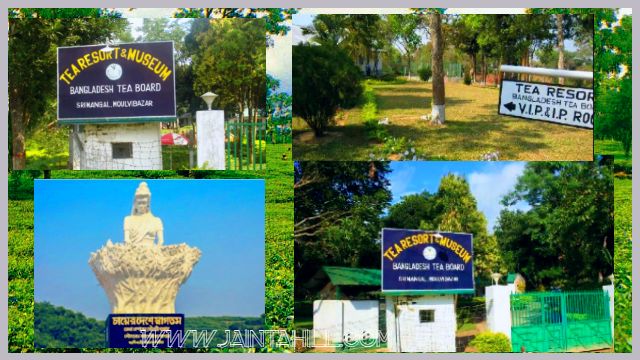 travel-to-sreemangal-tea-resort
